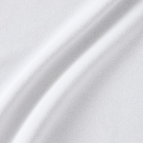 Frost Gray